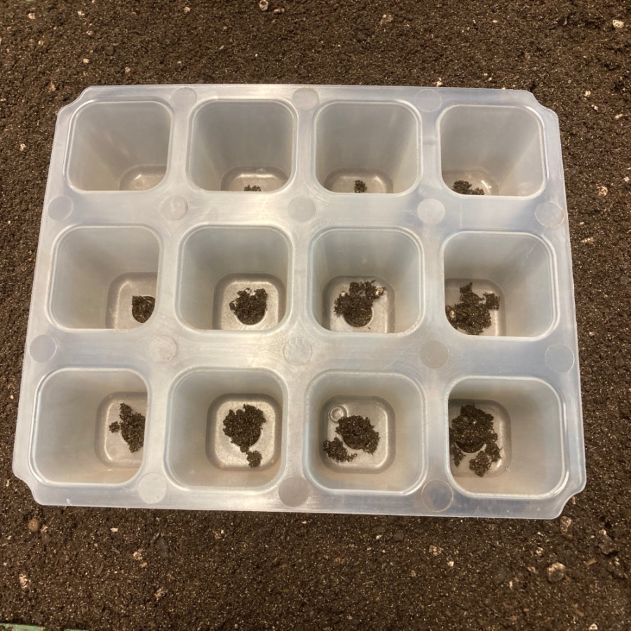 Heavy Duty Propagation Cell Trays